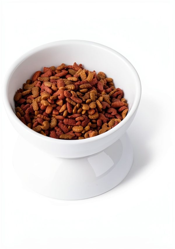 Cat Water Bowl ABRUTY Elevated Ceramic 16oz Tilted 4in Height-1