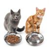 Stainless Steel Cat Bowls 6.4 Inch Whisker Friendly Set 2 Pack-2