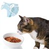 Cat Water Bowl ABRUTY Elevated Ceramic 16oz Tilted 4in Height-5
