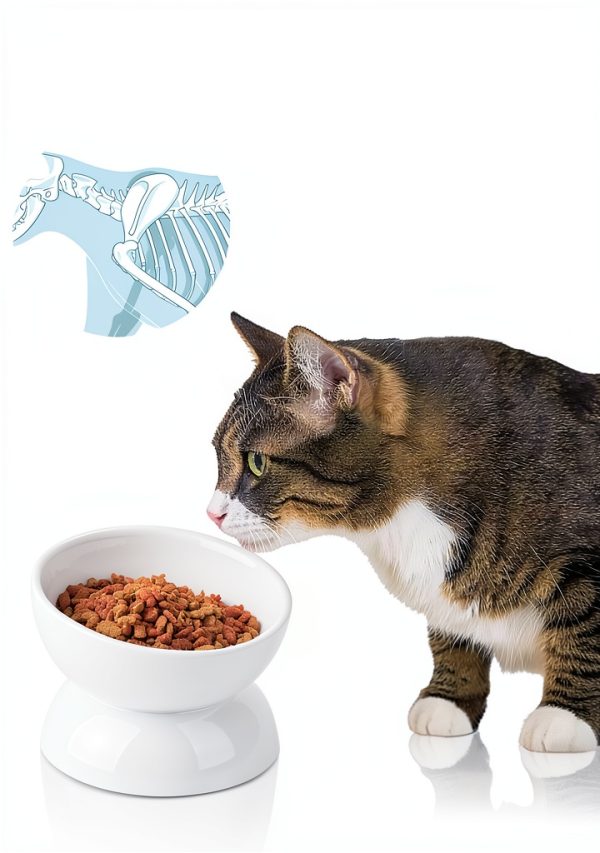 Cat Water Bowl ABRUTY Elevated Ceramic 16oz Tilted 4in Height-5