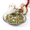 Stainless Steel Cat Bowls 6.4 Inch Whisker Friendly Set 2 Pack-4