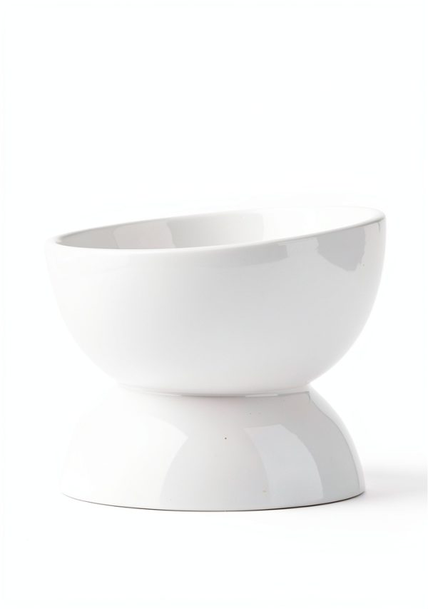 Cat Water Bowl ABRUTY Elevated Ceramic 16oz Tilted 4in Height-2