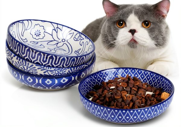 Ceramic Cat Food Bowl Set of 4 Selamica Blue 5.6 Inch Bowls-0