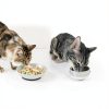 Ceramic Cat Food Bowl Set 5.75 Inch Colorful 6‑Pack by AHX-2