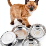 VENTION Shallow Cat Food Bowls, Stainless Steel Set of 4 for Indoor-0