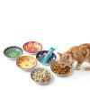 Ceramic Cat Bowls Set of 6 - Colorful Cute Shallow Cat Dishes - 5.75-Inch, Whisker Friendly and Wide - Microwave & Dishwasher Safe - 8.5 oz (250 ml)-2