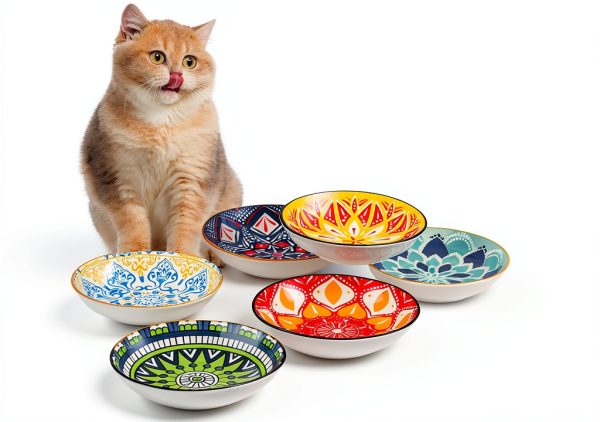 Ceramic Cat Bowls Set of 6 - Colorful Cute Shallow Cat Dishes - 5.75-Inch, Whisker Friendly and Wide - Microwave & Dishwasher Safe - 8.5 oz (250 ml)-0